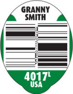 SSI Spec sheet DB